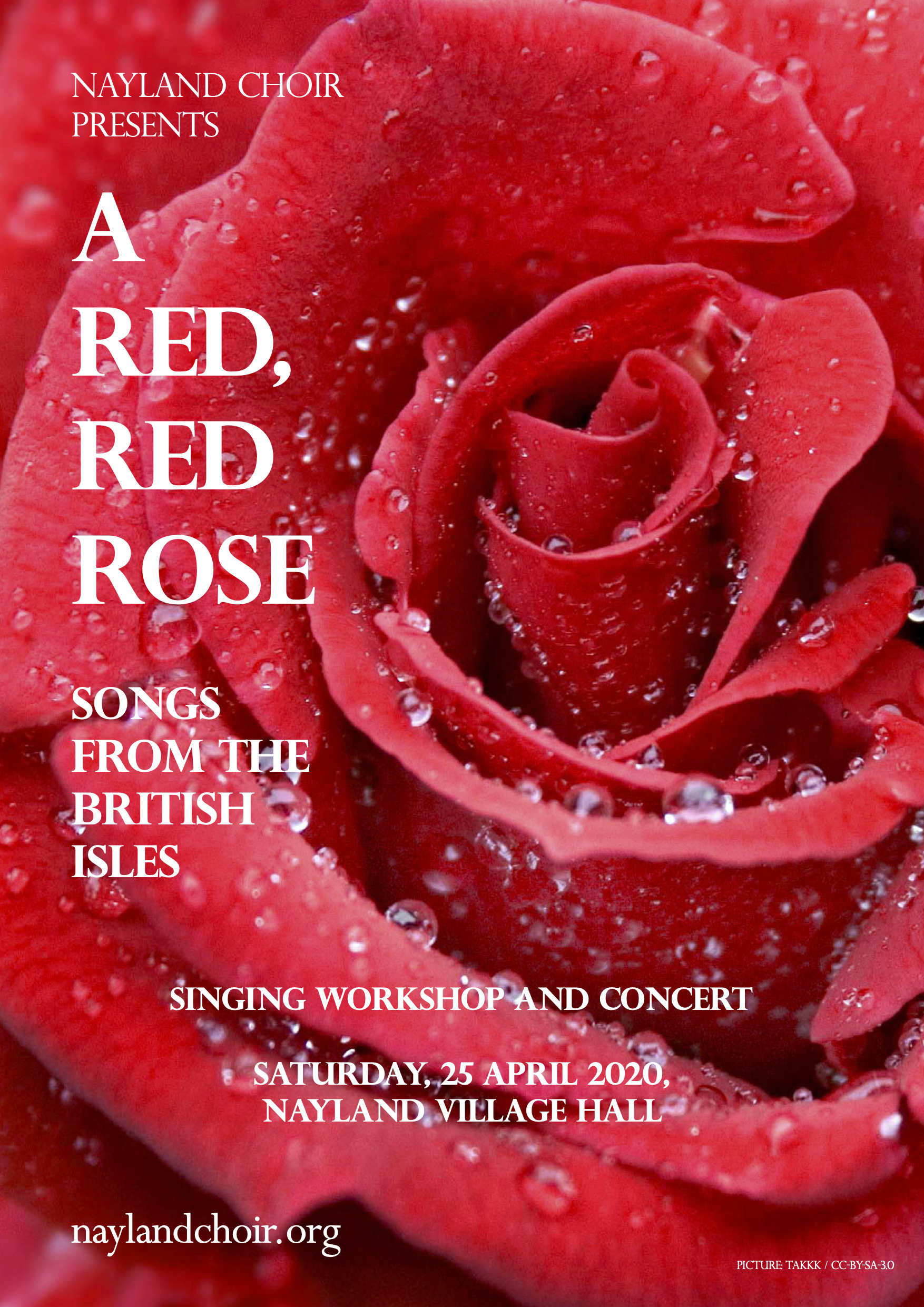 A Red, Red Rose – Nayland Choir